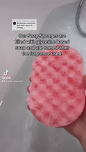 Load and play video in Gallery viewer, The Rhubarb Soap Sponge

